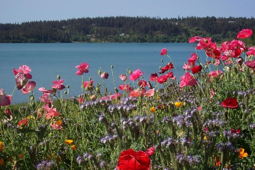 Lac la Hache 001